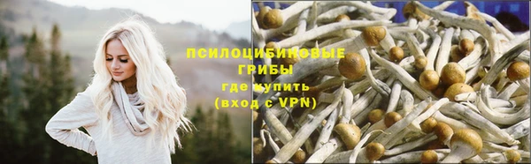 мяу мяу кристалл Ельня
