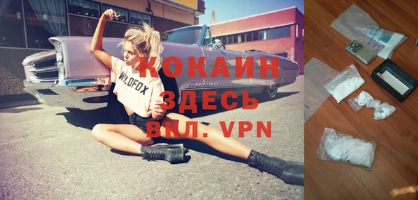 метадон Елизово