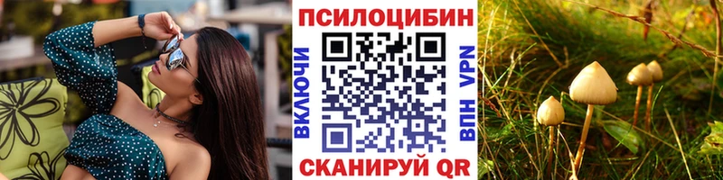 Псилоцибиновые грибы мицелий  Купить закладки  Ейск 
